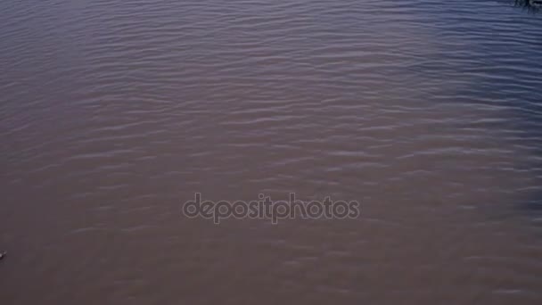 Ondulación del agua en el río — Vídeo de stock