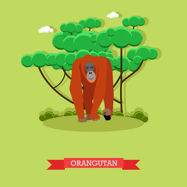 Illustrazione vettoriale orango selvatico in stile piatto. Scimmia - zoo elementi di design degli animali e icone — Vettoriale Stock