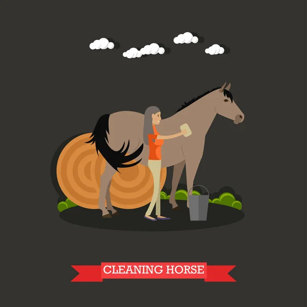 Cleaning horse vector illustration in flat style — Stock Vector