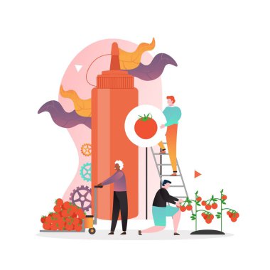 Web afişi için domates ketçapı üretim vektörü konsepti, web sayfası