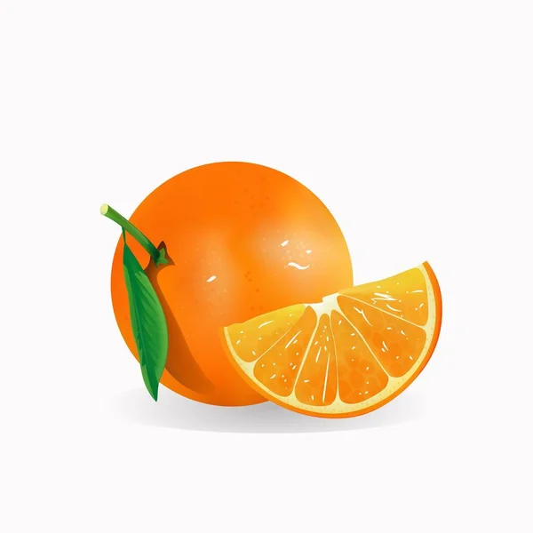Fruta naranja fresca realista, ilustración aislada vector — Archivo Imágenes Vectoriales