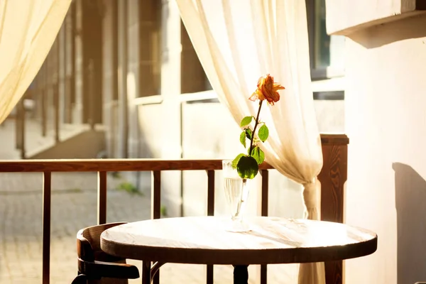 rose on table in cafe