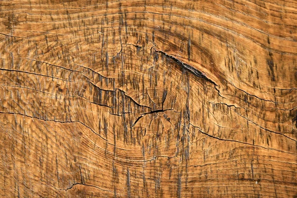 ahşap doku closeup arka plan