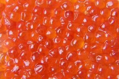 Kırmızı havyar doku arka plan düzgün katmanı