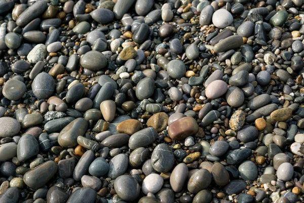 Wet smooth stones on the seashore — Stock Photo, Image