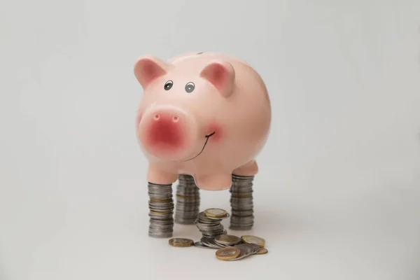 Pig piggy bank and coins, Stock Image