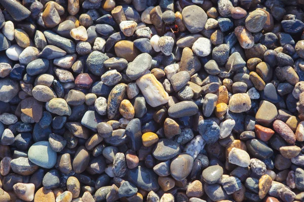 Arrière-plan, image de fond de pierres, plage , — Photo