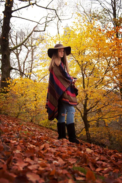 Junges Teenager-Mädchen steht im Herbst in einem Wald — Stockfoto