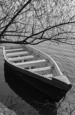 Tekneyi kıyıya yakın