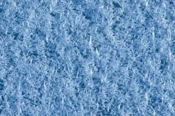 Snowflakes on the ice. — Stock Photo, Image
