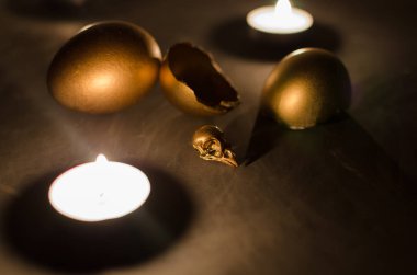 Altın kafatası kuş.