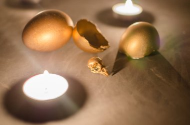 Altın kafatası kuş.