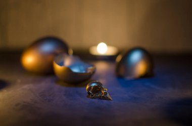 Altın kafatası kuş.