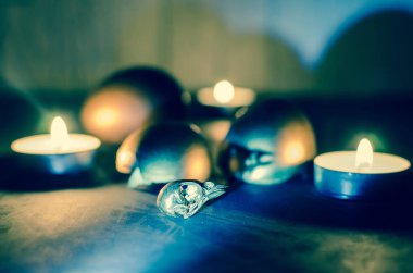 Altın kafatası kuş.