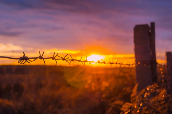 Забор с колючей проволокой на фоне яркого заката — стоковое фото