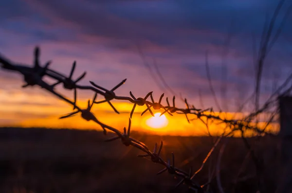 A háttérben a okos naplementét a szögesdrót kerítés — Stock Fotó