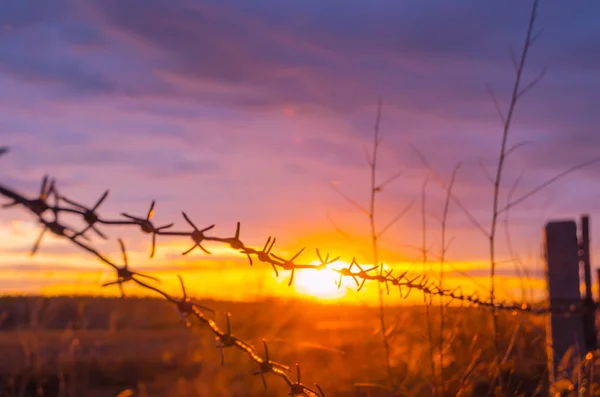 Fence with barbed wire on the background of the bright sunset — Stock Photo, Image