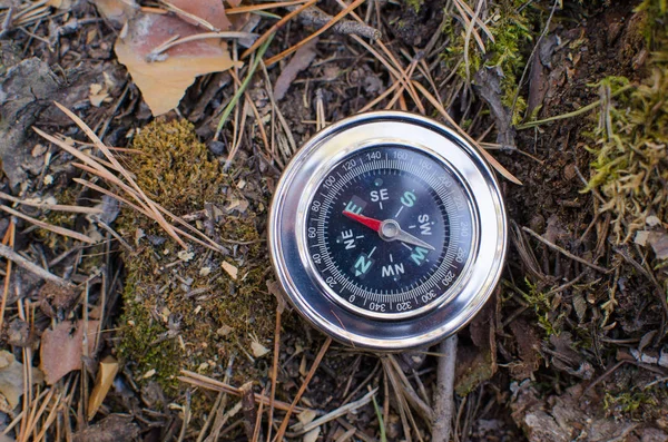 Compass lying on old moss — Stock Photo, Image