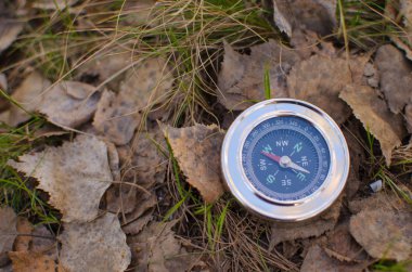 Pusula düşen yapraklar üzerinde yalan