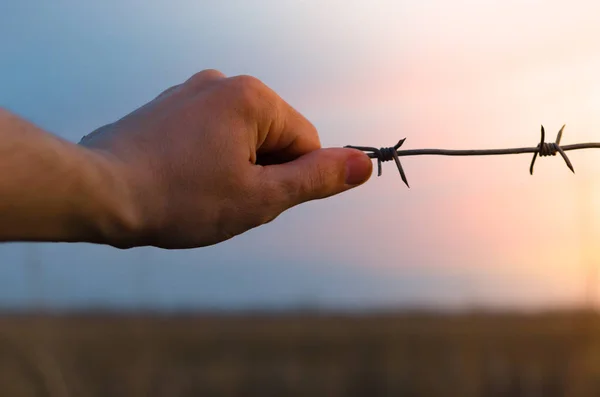 Mans hand houdt op prikkeldraad — Stockfoto