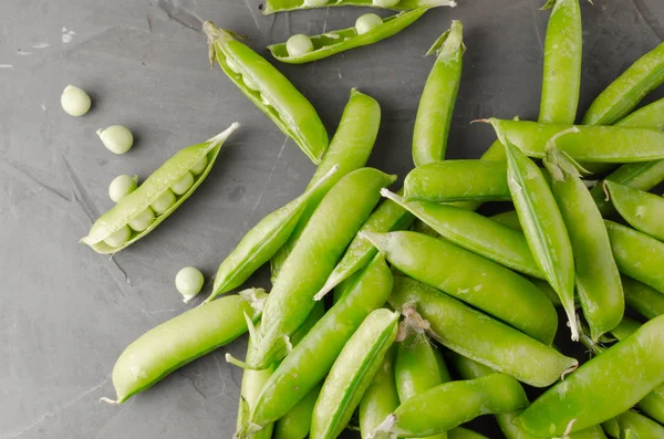 Yeşil lekeli üzerinde betonun