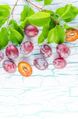 Güneşin Erik ve yeşil yeşillik