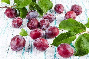 Erik ve yeşil yaprakları eski beyaz kırık masada