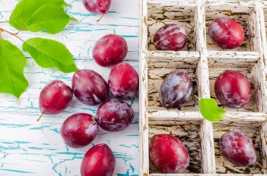 Erik hücrelerle mezarda