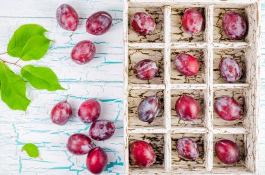 Erik hücrelerle mezarda