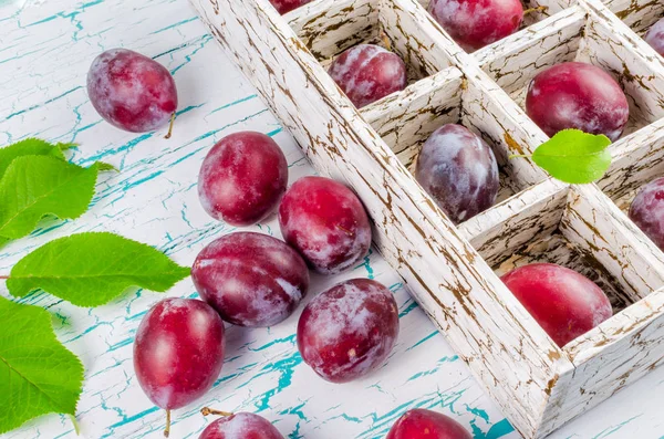 Erik hücrelerle mezarda