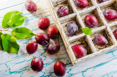 Erik hücrelerle mezarda