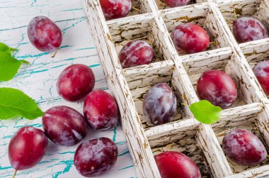 Erik hücrelerle mezarda