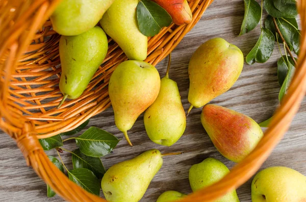 Lot of ripe pears spilled out of a basket — Stock Photo, Image