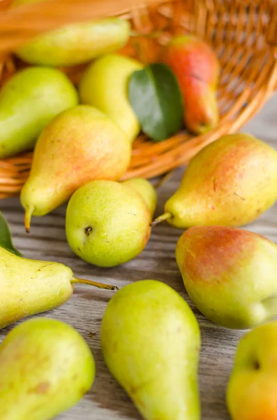 Lot of ripe pears spilled out of a basket — Stock Photo, Image