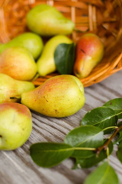 Lot of ripe pears spilled out of a basket — Stock Photo, Image