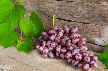 Asma ve yeşil yaprakları eski kurulları bir arka plan üzerinde aittir