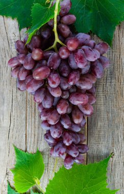 Asma ve yeşil yaprakları eski kurulları bir arka plan üzerinde aittir