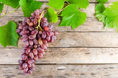 Asma ve yeşil yaprakları eski kurulları bir arka plan üzerinde aittir