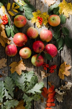 Sonbahar yaprakları ile eski ahşap masa üzerinde dağınık kırmızı elmalar