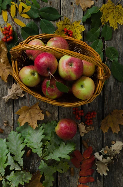 Sonbahar yaprakları ve eski kurulları bir arka plan üzerinde hasır sepet elma