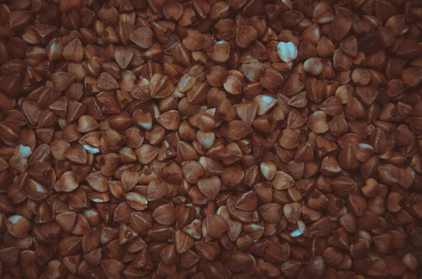 Antecedentes de grañones de trigo sarraceno — Foto de Stock