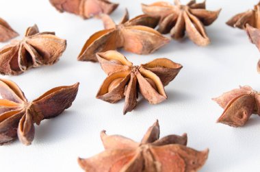 Baharat anasonu beyaz bir arka plan üzerinde