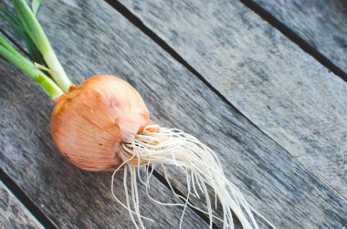 Eski ahşap arka plan kafasına filizlenmiş soğan