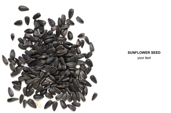 Ayçiçeği tohumu beyaz arka plan üzerinde. Yakın çekim, ayrı tut.
