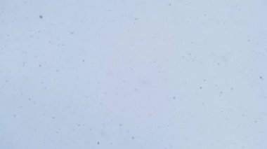 Alışılmadık hava koşulları, şiddetli kar fırtınası..