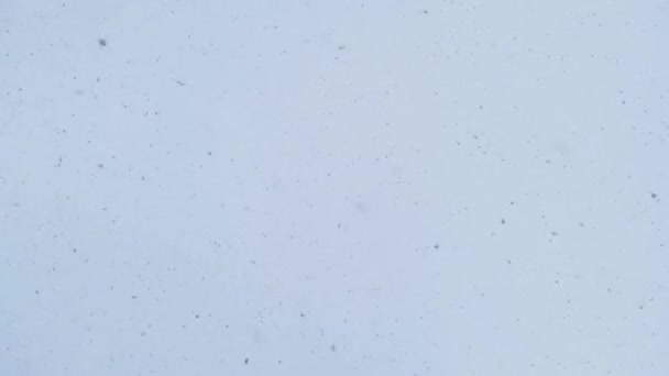Незвичайні Погодні Умови Сильна Снігова Буря — стокове відео