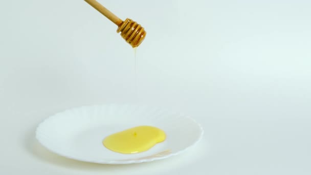 Wooden Spoon Honey Dripping Fresh Thick Honey — Stockvideo