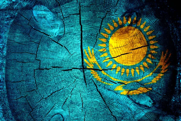Державний прапор Казахстану з фоновою текстурою дерева.. — стокове фото