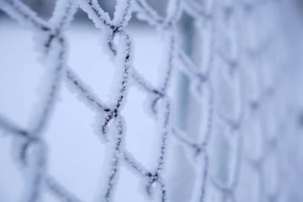 Síťovina ze síťoviny pokrytá mrazem po husté mlze a mrazu. — Stock fotografie