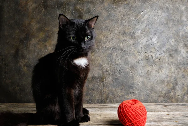 Black cat with green eyes sits next to a red ball of thread
